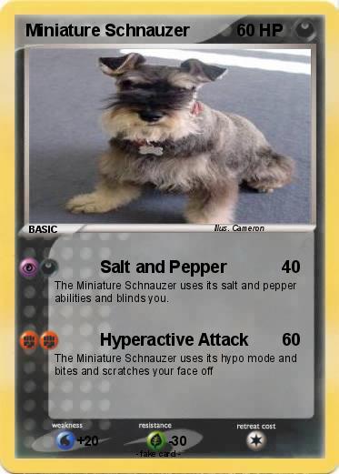 Pokemon Miniature Schnauzer