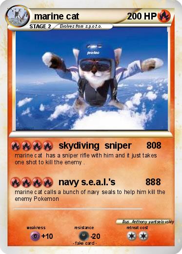 Pokemon marine cat