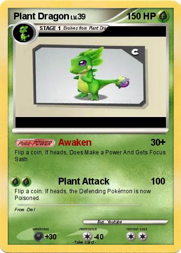 Pokemon Plant Dragon