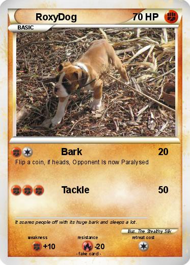 Pokemon RoxyDog