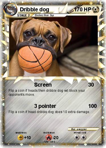 Pokemon Dribble dog