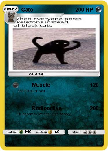 Pokemon Gato