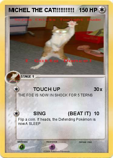 Pokemon MICHEL THE CAT!!!!!!!!!!!
