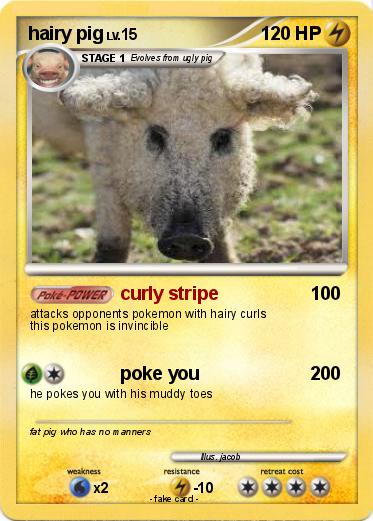 Pokemon hairy pig
