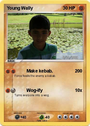 Pokemon Young Wally