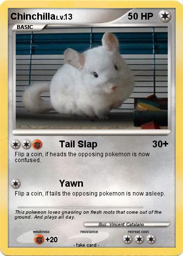 Pokemon Chinchilla