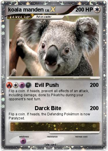 Pokemon koala manden