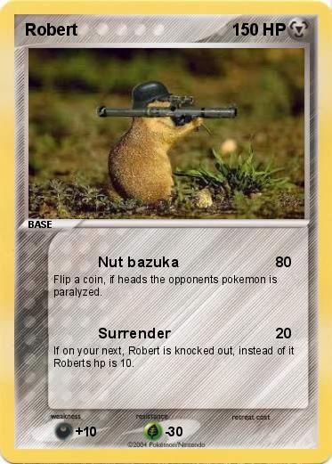Pokemon Robert