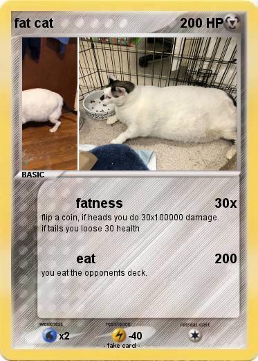 Pokemon fat cat