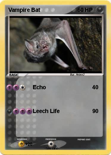 Pokemon Vampire Bat