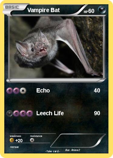 Pokemon Vampire Bat