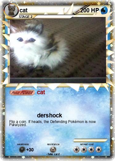 Pokemon cat