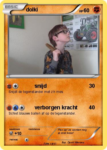 Pokemon dolki