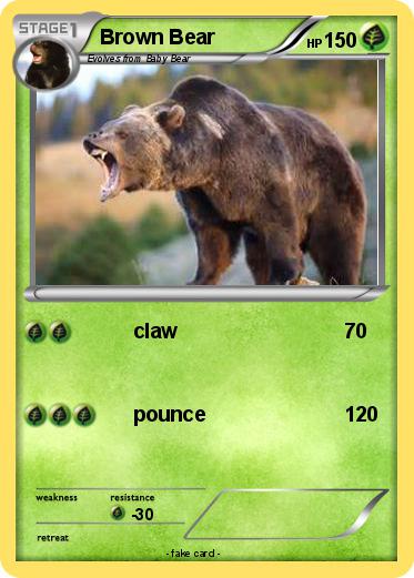Pokemon Brown Bear