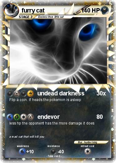Pokemon furry cat