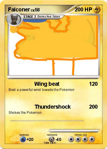 Pokemon Falconer