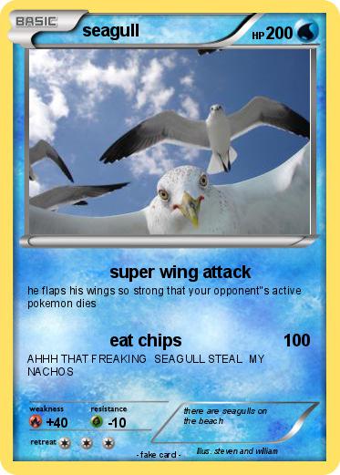 Pokemon seagull