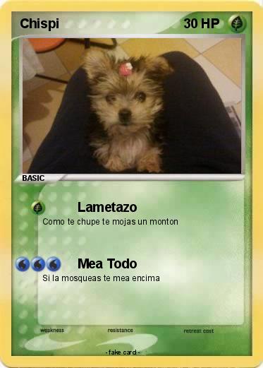 Pokemon Chispi