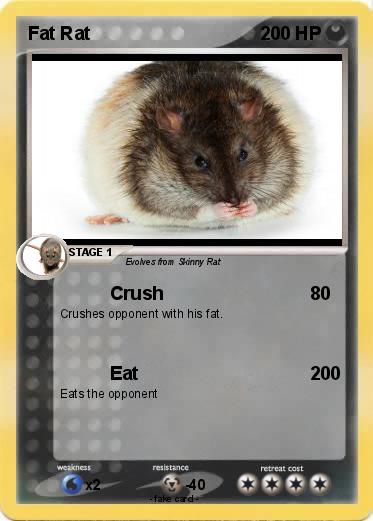 Pokemon Fat Rat