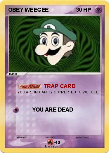 Pokemon OBEY WEEGEE