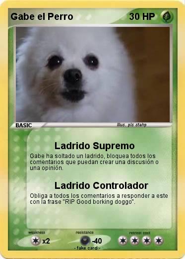 Pokemon Gabe el Perro