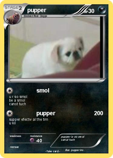Pokemon pupper