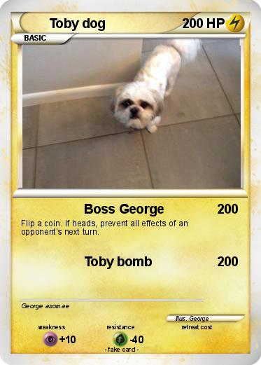 Pokemon Toby dog