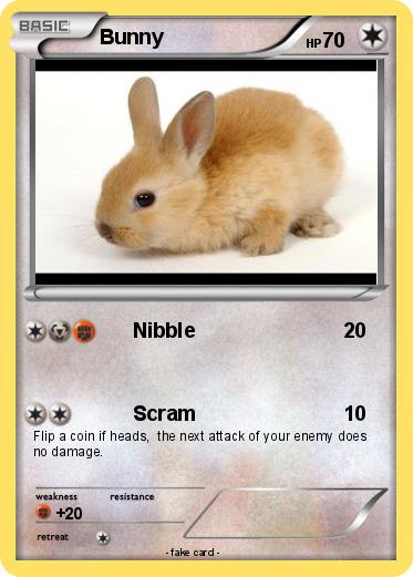 Pokemon Bunny