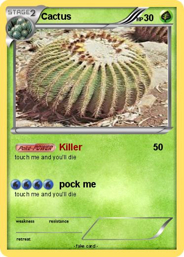 Pokemon Cactus