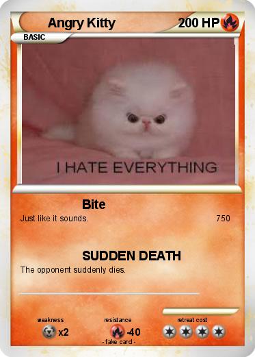 Pokemon Angry Kitty