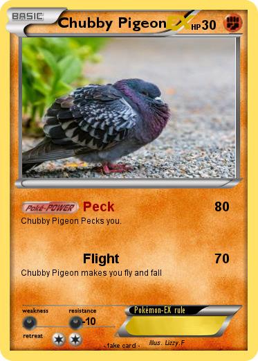Pokemon Chubby Pigeon