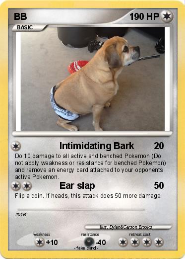 Pokemon BB