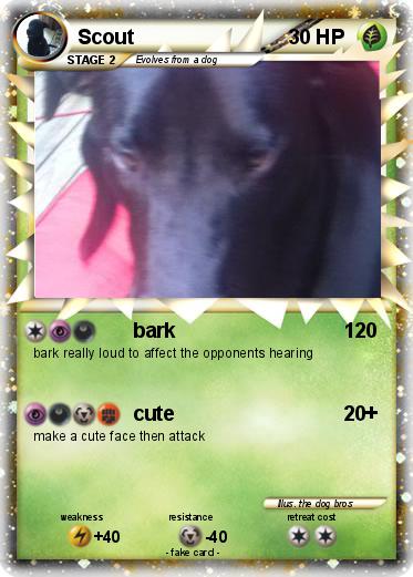 Pokemon Scout