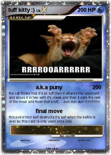 Pokemon tuff kitty :)
