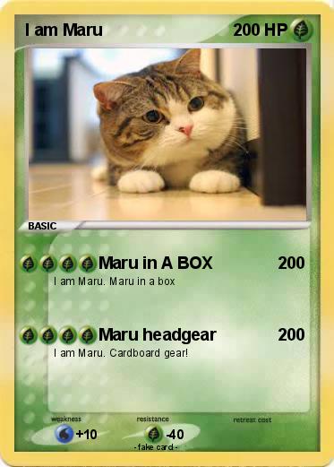 Pokemon I am Maru