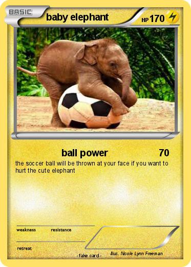 Pokemon baby elephant
