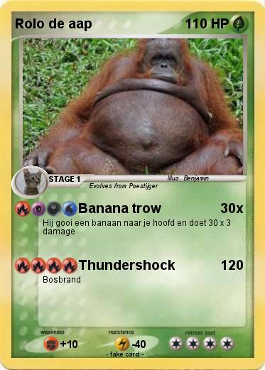 Pokemon Rolo de aap