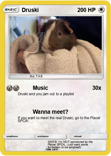 Pokemon Druski