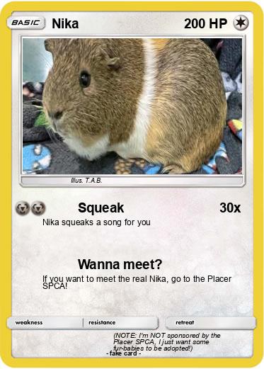 Pokemon Nika