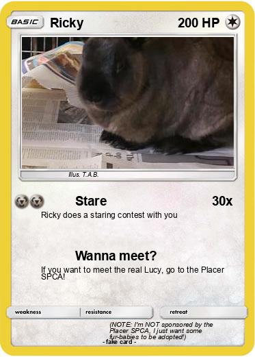 Pokemon Ricky