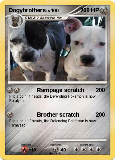Pokemon Dogybrothers