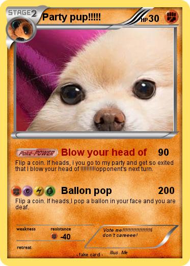 Pokemon Party pup!!!!!