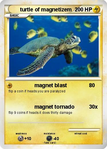 Pokemon turtle of magnetizem