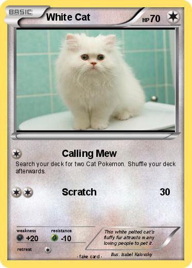 Pokemon White Cat