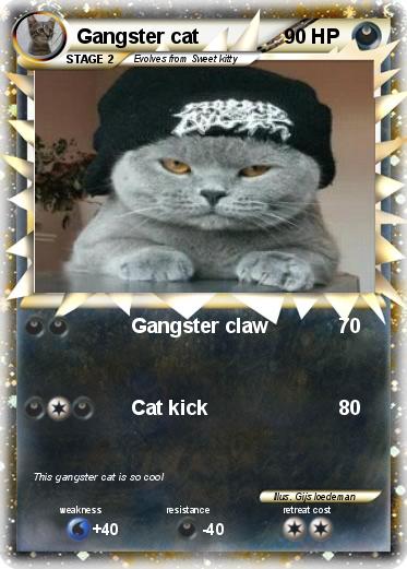 Pokemon Gangster cat
