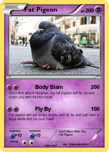 Pokemon Fat Pigeon