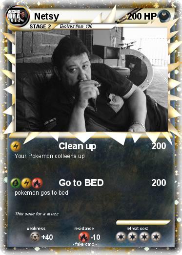 Pokemon Netsy