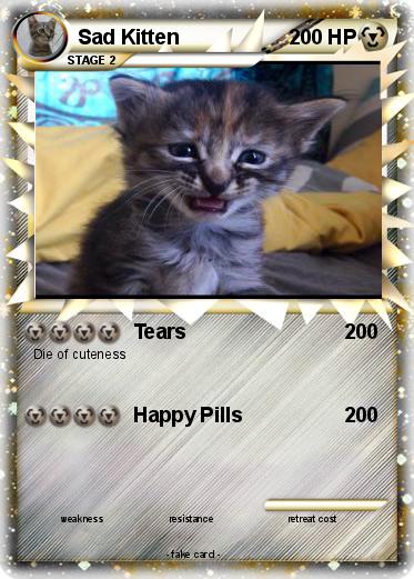 Pokemon Sad Kitten