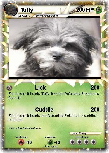 Pokemon Tuffy