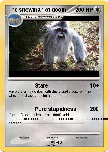 Pokemon The snowman of doom